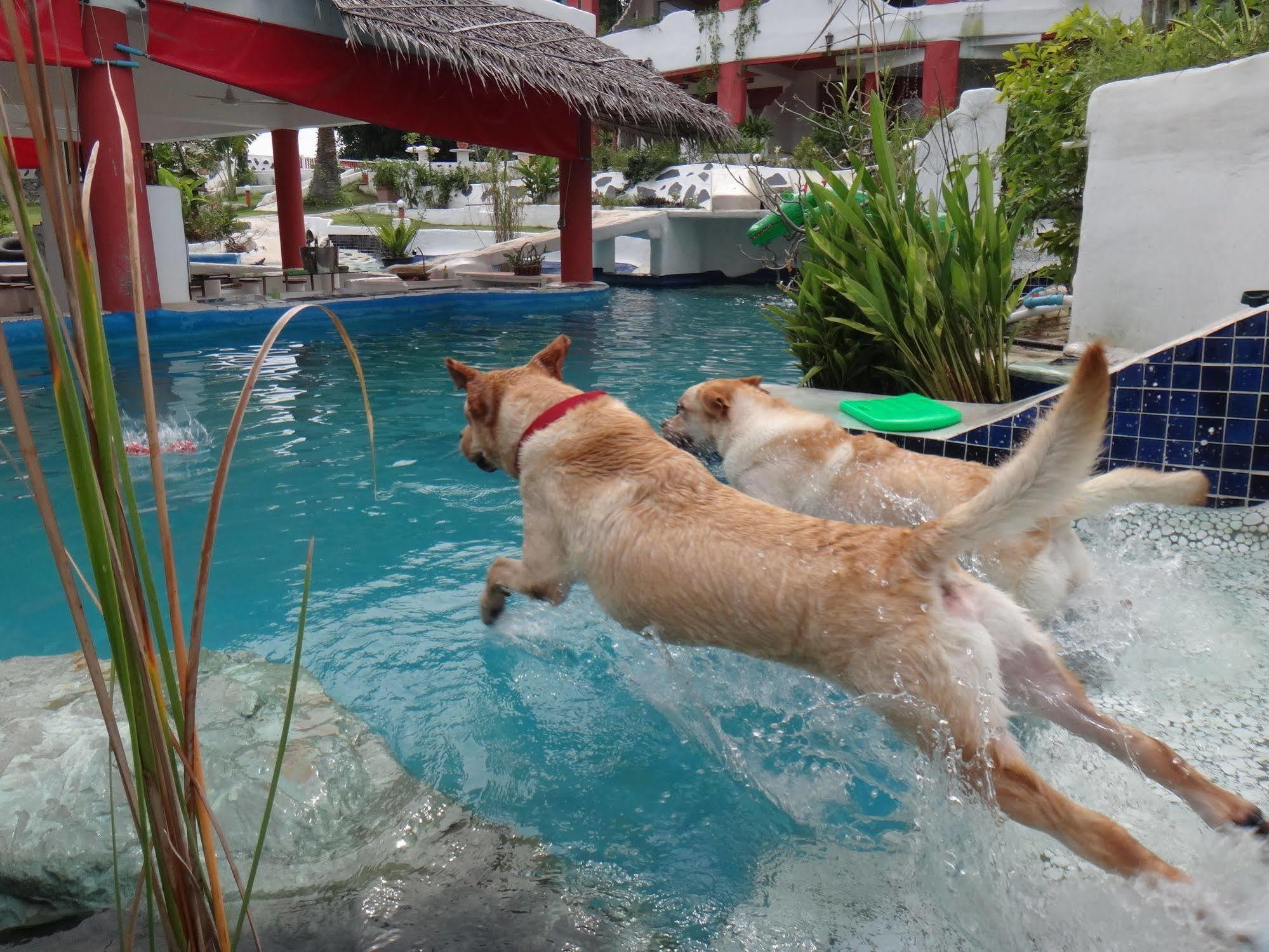 Mirabel Club Resort Haat Jomtien Eksteriør bilde